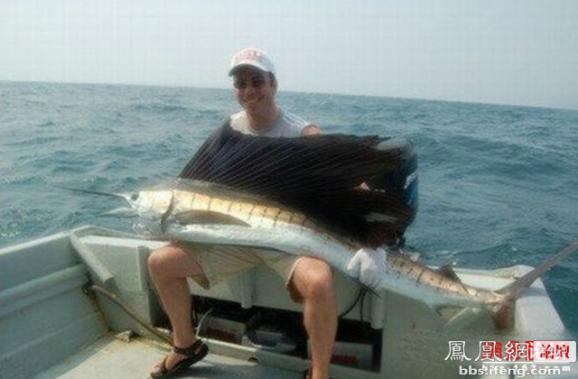 ������������� �������ޱ�_����Ȥ��