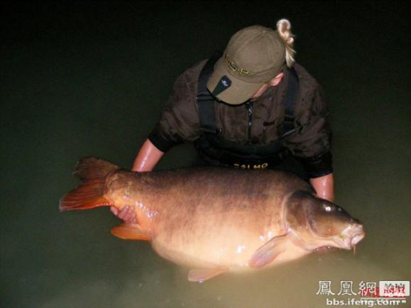 ������������� �������ޱ�_����Ȥ��