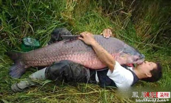 ������������� �������ޱ�_����Ȥ��