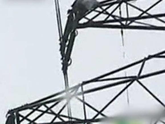 �ң��к��븸ĸ�������ϸ�ѹ���� ��������_�׿�