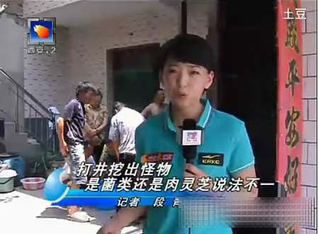 ��ο��������֥���ߺ����� ���Ů���ߣ�ͼ��