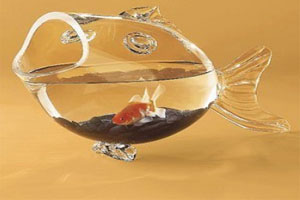 ɹɹ������ս� ��������λ�����ս���ͼ��