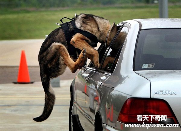 ʵ�Ķ�����Ȥ˲�䣬�ȷ���