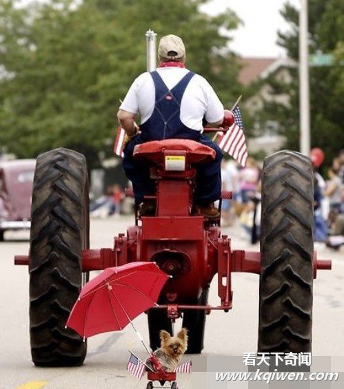 ������һ���������Ҷ��ĵĿ�ͼ��(��ͼ)