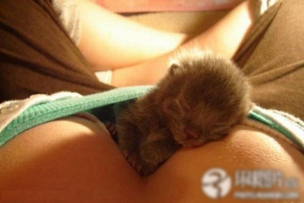 ��Ů������������ĳ����˹���ͼ�� ������ذ�(��ͼ)