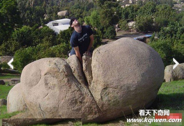 �̵���Ů���ֲ�����̬��Ϊ ��������(��ͼ62P)