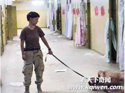 ��ʮ������Ű����Ƭ���ع� ����Ű����Ŀ����(��ͼ)